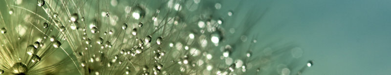 _images/banner.jpg